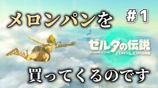 【ティアキン】初見で行く空の旅？＃１