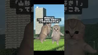 山形県に来なさい　#山形県  #山形　#cat #猫　#shorts