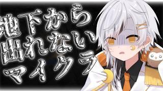 【#マイクラ】ひたすら整地しながらお昼ごはんまでやる！8888人行かないかな～　  #shorts #5