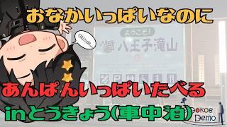 【東京道の駅】おなかいっぱいなのにあんぱいいっぱいたべる【車中泊】