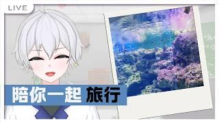 「陪你一起旅行」XPART超讚的  #博士營業中 #個人勢VTUBER