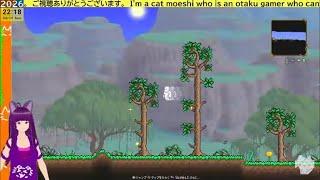 【 テラリア 】  墓量産配信　ワナが無いというワールド他　 日常 #1386 説明必読 無実況ゲームLIVE  catVtubar
