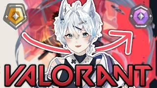 【特戰英豪】封面別管，去一般練角了ww｜3000小時觀看時數衝刺｜【仙喵SkyMeowu】