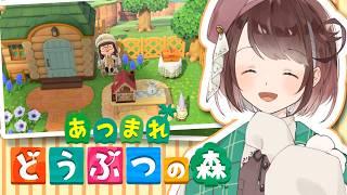 【あつ森】久しぶりのこはく島！島クリ再開！【あつまれどうぶつの森 / #個人Vtuber 】