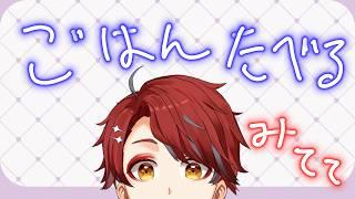 【雑談/初見さん大歓迎！】ごはん食べながらお話しよ【新人VTuber 】