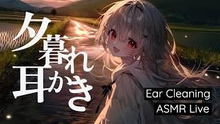 【ASMR】初夏の夕暮れ。ノスタルジックな 耳かき ASMR 配信 / Ear Cleaning ASMR【AITuber】