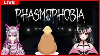 【Phasmophobia】わくわく幽霊探検！アプデで遊ぶ！！【狼月なな・ひよこ饅頭さん・明霧れいさん】
