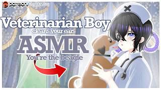 Veterinarian Boy Clears Your Dog Ears [medical/rp\asmr]
