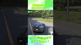 【Forza Horizon 6】線路のはしっこ知ってますか!?【フォルツァホライゾン6】