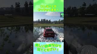 【Forza Horizon 6】こんなこともやっちゃいます!【フォルツァホライゾン6】