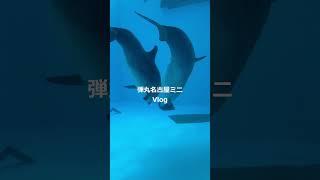 【Vlog】#名古屋港水族館 にいってきた🐠🫧【 #vtuber #ルティ・シャルメ】