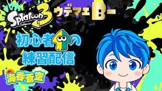 【Splatoon3】しょしんしゃのローラーコロコロ大作戦【指示厨出禁】