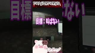 【Phasmophobia】絶対に叫ばない【ランドーク】