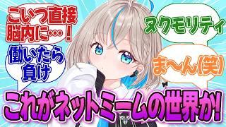 【ネットミームとは?】界隈まるでわかってないVがリスナーに教えてもらう配信【推乃りぴあ/新人VTuber】