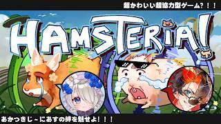 【あかつきじ~にあす】2人はテッペンまで行けるのか…?!【Hamsteria!】