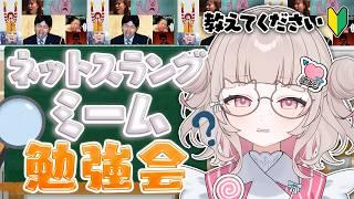 【勉強会】おすすめのネットミームを教えてくれ【 新人vtuber / 可否モカ 】
