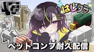【#minecraft 】はじクラ ペット集め耐久配信 #vtuber #一兎らいぶ