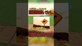 アメリカの道路標識がヤバすぎるwww #shorts #vtuber