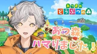 【あつまれどうぶつの森】久々の配信!あつ森ハッピーホーム楽しすぎ!!【新人Vtuber/犬守伊澄】