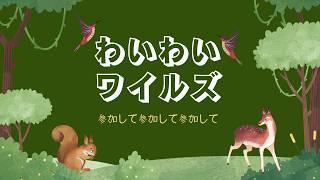 【参加型】装備更新しながら、みんなと狩るよ!#vtuber #ニチアサ #モンハンワイルズ