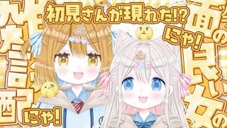 【雑談/新人vtuber】みんなにお疲れ様言いたい✨沢山お話して笑ってぐっすり眠ろうね 初見さんも歓迎 【新人vtuber /ぽちたま】#雑談配信 #vtuber雑談 #vtuber