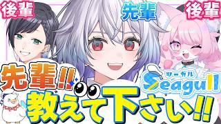 先輩!!教えて下さい!!【先輩:鳩本キュウ/後輩:黒切名呼、モモツナ】