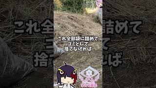 【 DIY 初心者 】「ゲームと現実世界」 #せっつぇるの秘密基地 【 せっつぇる 】#vtuber #せっつぇる #vtuberclips #Shorts #DIY #超美麗3D Vlog