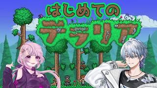 【 #テラリア 】ミリしらが行くてらりあ🏙【薄雪ヤキトリ / #Vtuber】