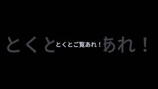 【猫系VTuber】見えない尻尾、作るべきですか?【視聴者会議】 #大人初心者 #live2d #新人vtuber