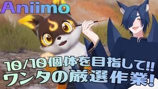 【アニモ】#5 週末は大量発生の日!ワンタの厳選を、いざ!【新人Vtuber】