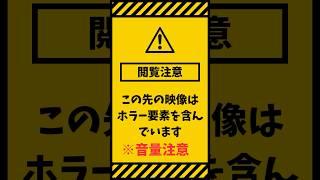 ビビりには無理かもしれません!#repo#レポ #vtuber