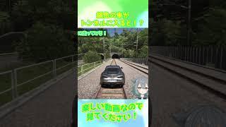 【Forza Horizon 6】銀色の車がトンネルに入ると!?【フォルツァホライゾン6】