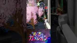 【めっちゃカメレオン】 60 あなたは見つけられる? #個人勢 #VTuber #VLiver #ホラー #ゲーム実況 #ビビリ #怖がり #めっちゃカメレオン #ライバー #shorts