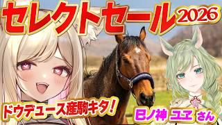 【競馬】ドウデュース産駒キタ!当歳馬🏇を愛でよう!セレクトセール2026みる!【 同時視聴】#Vtuber #反応