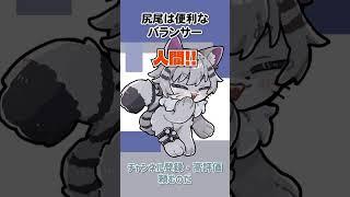 尻尾がある方が便利じゃないか❓ #shorts #vtuber #新人Vtuber #新人vtuberを発掘せよ