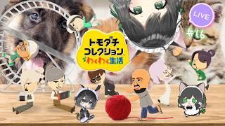 【 生配信 】トモダチコレクションわくわく生活|愉快なジジイたちを観察しよう✌ #16【 #こやりの配信 / vtuber 】