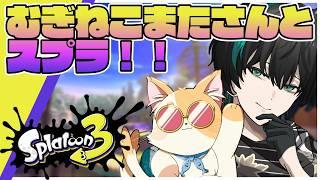 【スプラトゥーン3/コラボ】ホクサイでむぎねこまたさんと無双する。【翠心晴】 #スプラトゥーン3 #vtuber #男性vtuber #shorts #縦型配信