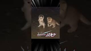 ヘイセイ