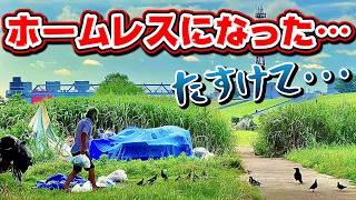 【 Hobo: Tough Life 】お金が無くてホームレスになりました… 誰か助けてください… w/ ダニエル・フロイド / 悪玉菌 / 黒宮ねる 【 芽來-めいく- / 新人Vtuber 】