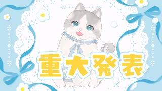 【 #新人vtuber 】猫ちゃんの重大発表☁【 #朝活 ┊ふわねこ こまるちゃん 】