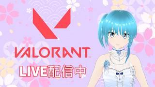 【VALORANT】今日こそ最強のエースになる!気合のランク配信