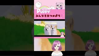 MY LITTLE PUPPY みんなをあつめよう #vtuber #切り抜き #癒し犬 #ゲーム実況 #マイリトルパピー #人魚 #個人勢