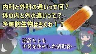 【内科と】生物の内と外の違いとは?【外科?】