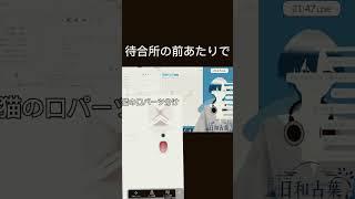配信中のおかしな言動 #個人勢vtuber