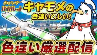 【34時間~】【24時まで】かもめ社長が苦しみ続けるキャモメ色違い厳選【フルパを目指して4羽目を探す】 #6 #シーガルV