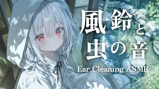 【イヤホン推奨】風鈴と秋の虫の音で癒される😴 ノスタルジック 耳かき ASMR / Ear Cleaning ASMR【ASMR Live】