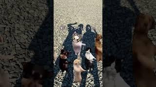 最近この踊り好きすぎて、頭にずっといる!猫ミーム最高! #vtuber #新人vtuber #推して #新人vtuberを発掘せよ #推し不在おいで #れあ #おすすめにのりたい