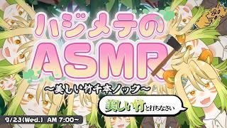 【バカASMR】美しい竹千本ノック【作業・睡眠・放置】#ハートピアスローライフ