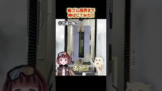 【#実験】『輪ゴム』『太輪ゴム』はどっちが長くのびるか実験してみた❗❗ 今日から使えるゴムの雑学その14│#新人Vtuber #雑学 #shorts #ゴムリーナのおしごと