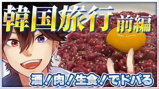 【Vlog】韓国で生レバー!酒とメシで韓国旅行3泊4日、覇乱バンジョーがドパり尽くした【前編】(男性VTuber)